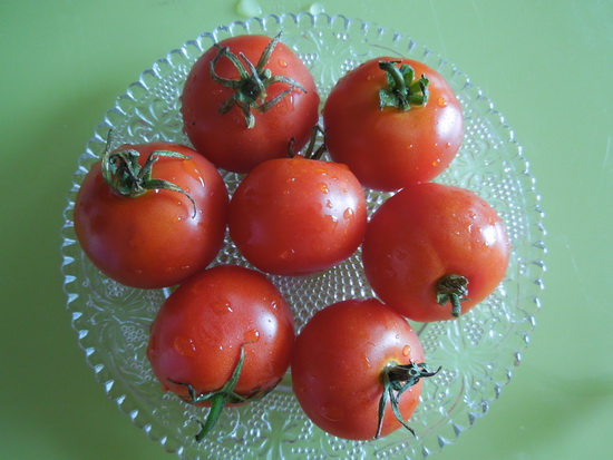 1 paradajz