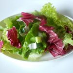 Radič i zelena salata